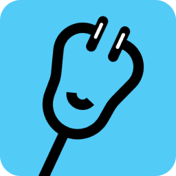 icon project