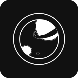 icon project